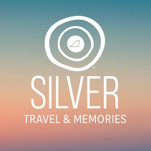 logo silver.jpg